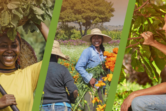 ¿Cómo podemos facilitar el empoderamiento de las mujeres jóvenes vinculadas a los sistemas agroalimentarios?  